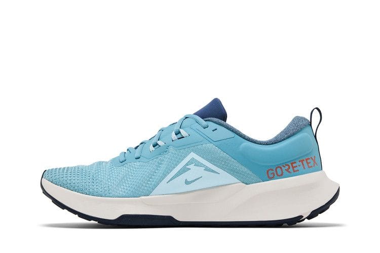 Men's Juniper Trail 2 GORE-TEX 'Denim Turquoise'