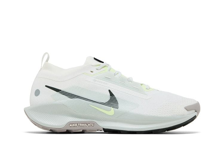 Men's Pegasus Trail 5 GORE-TEX 'Light Silver Sequoia'