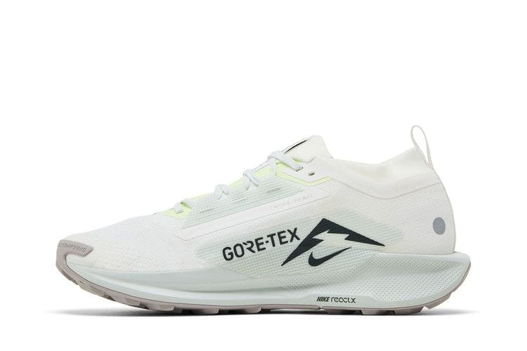 Men's Pegasus Trail 5 GORE-TEX 'Light Silver Sequoia'