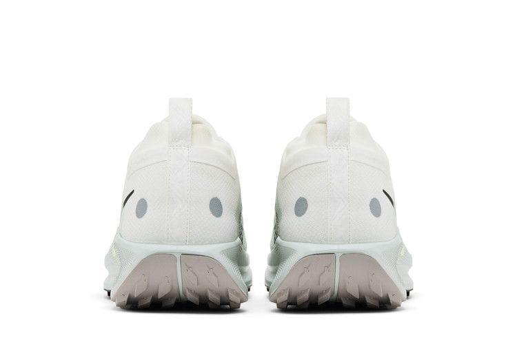 Men's Pegasus Trail 5 GORE-TEX 'Light Silver Sequoia'