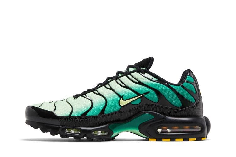 Men's Air Max Plus 'Vapor Green Gradient'