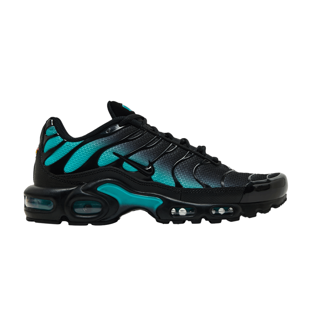 Men's Air Max Plus 'Black Dusty Cactus'