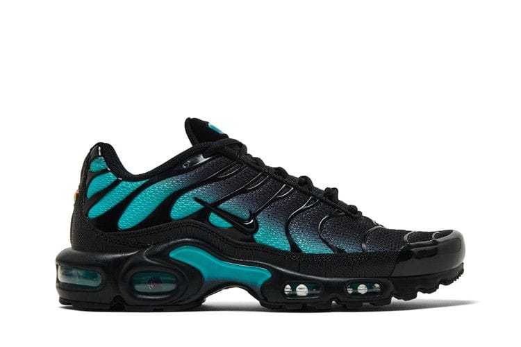 Men's Air Max Plus 'Black Dusty Cactus'