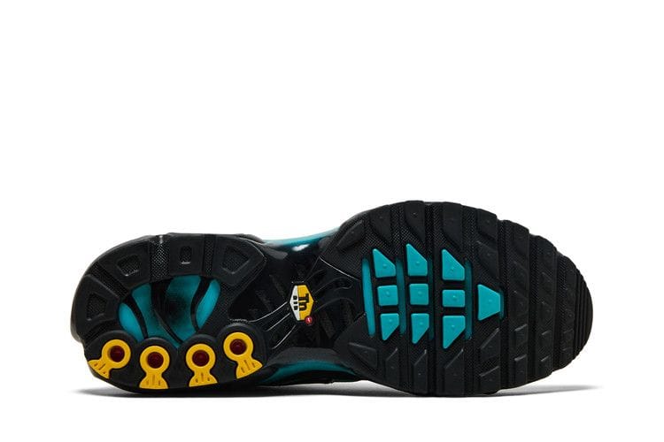 Men's Air Max Plus 'Black Dusty Cactus'