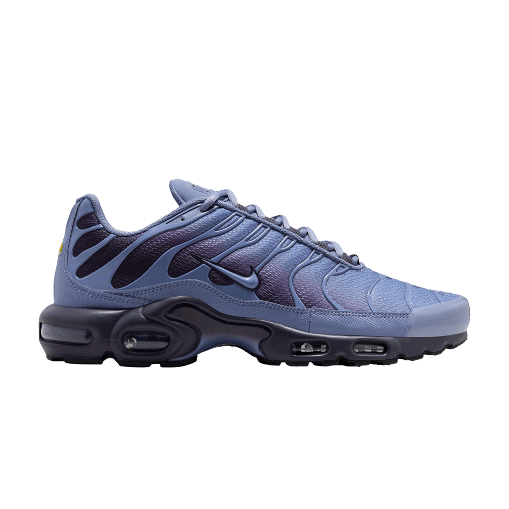 Men's Air Max Plus 'World Indigo'