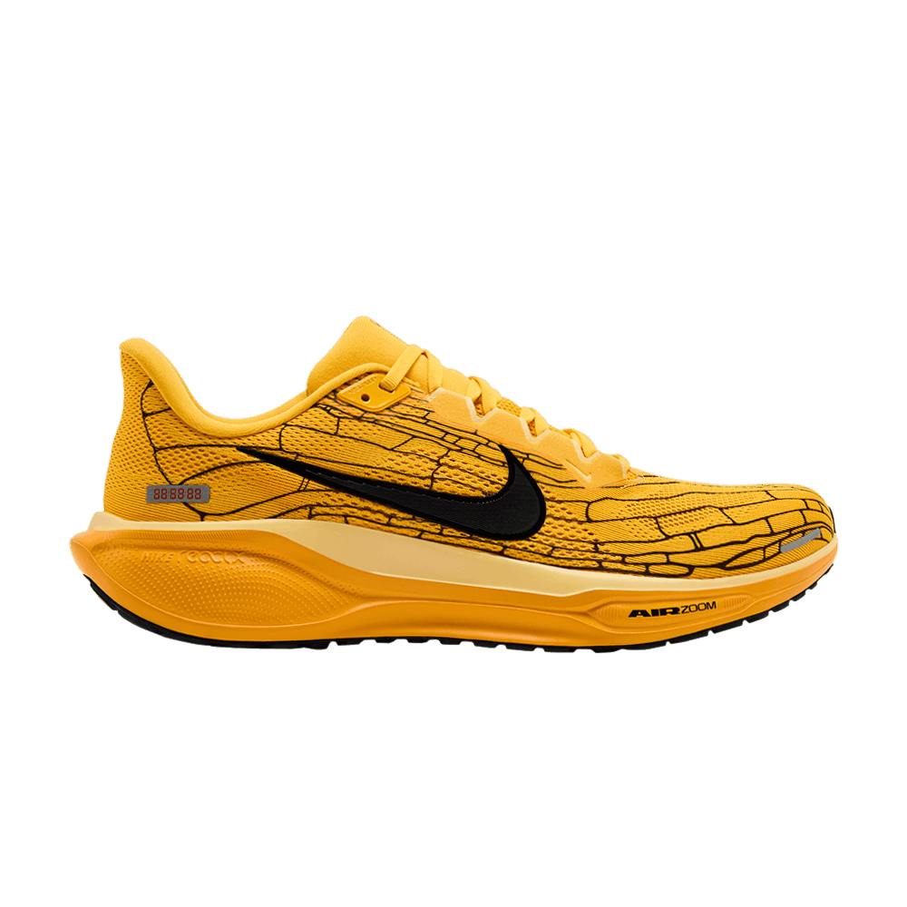 Men's Air Zoom Pegasus 41 LV8 'Modern Mayfly Pack'