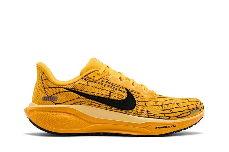 Men's Air Zoom Pegasus 41 LV8 'Modern Mayfly Pack'
