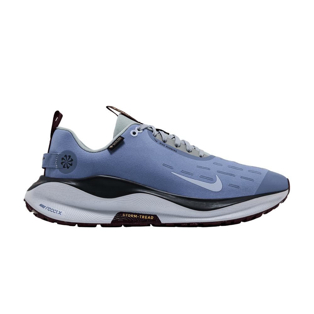 Men's ReactX Infinity Run 4 GORE-TEX 'Ashen Slate'