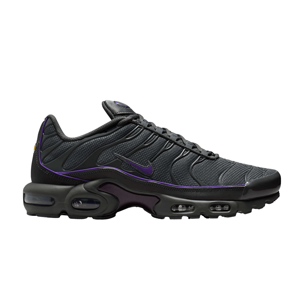 Men's Air Max Plus 'Iron Grey Wild Grape'