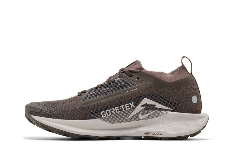 Men's Pegasus Trail 5 GORE-TEX 'Ironstone Velvet Brown'