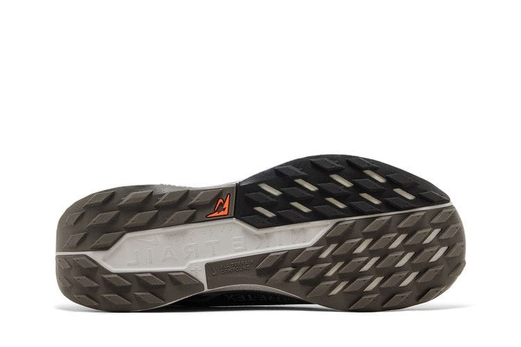 Men's Pegasus Trail 5 GORE-TEX 'Ironstone Velvet Brown'