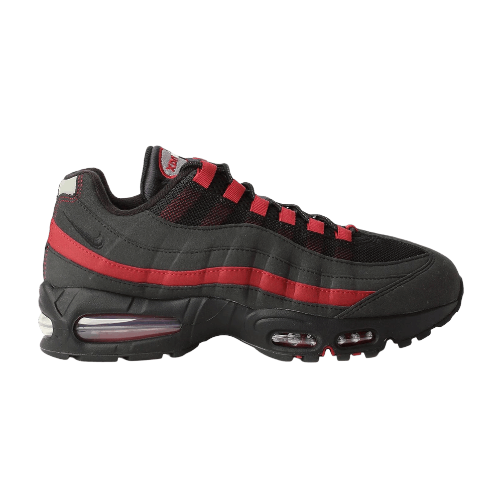Men's Air Max 95 'Black Crimson Grey'