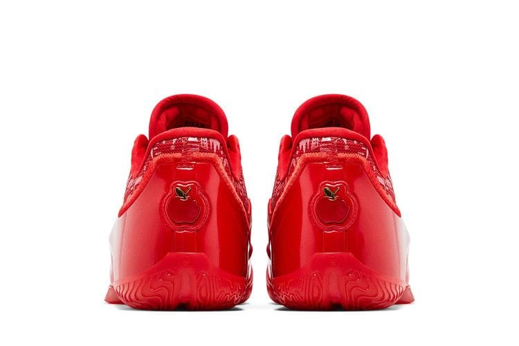 Men's Lebron 23 'Best In Class'