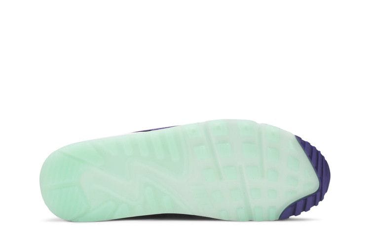Men's Air Max 90 'Exotic Animal Pack - Violet Blend'