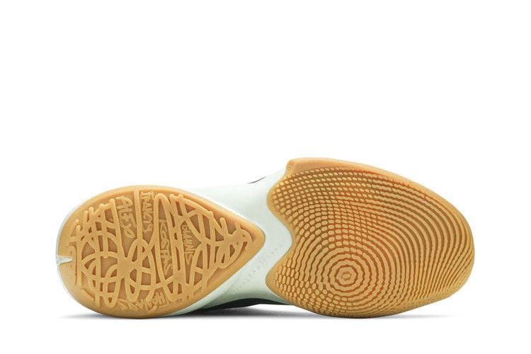 Men's Zoom Freak 2 'Ashiko'