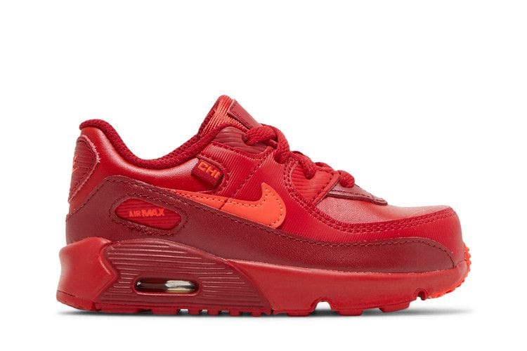 Air Max 90 TD 'City Special - Chicago'