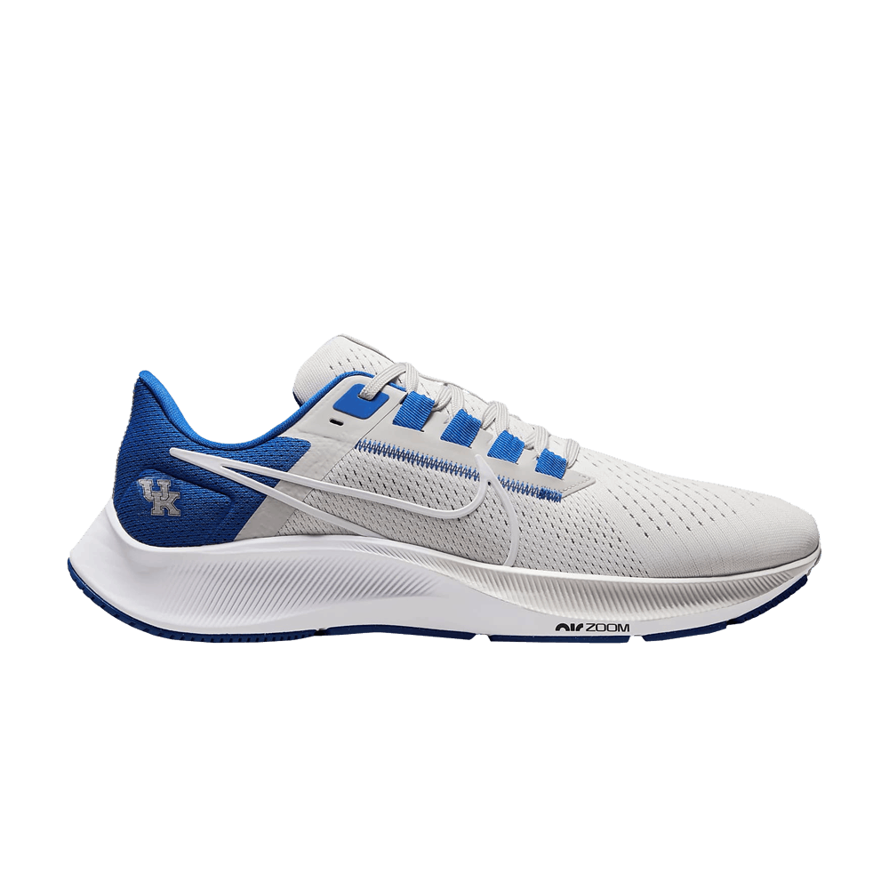 Men's Air Zoom Pegasus 38 'Kentucky'