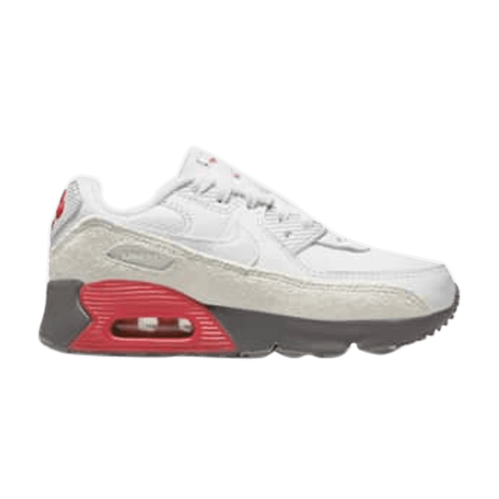 Air Max 90 PS 'White Light Silver Flat Pewter'