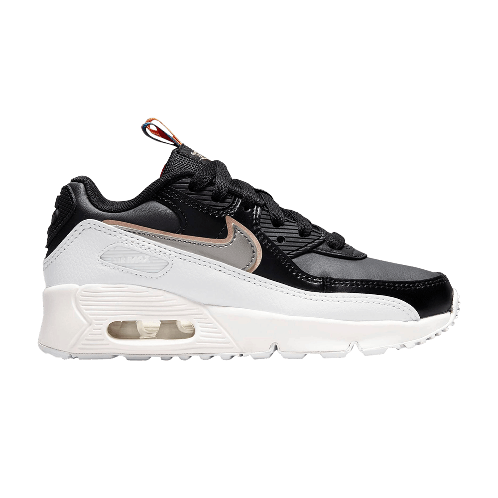 Air Max 90 Leather SE PS 'Off Noir Metallic Pewter'