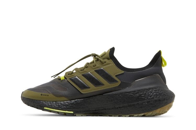 Men's UltraBoost 21 GTX 'Focus Olive'