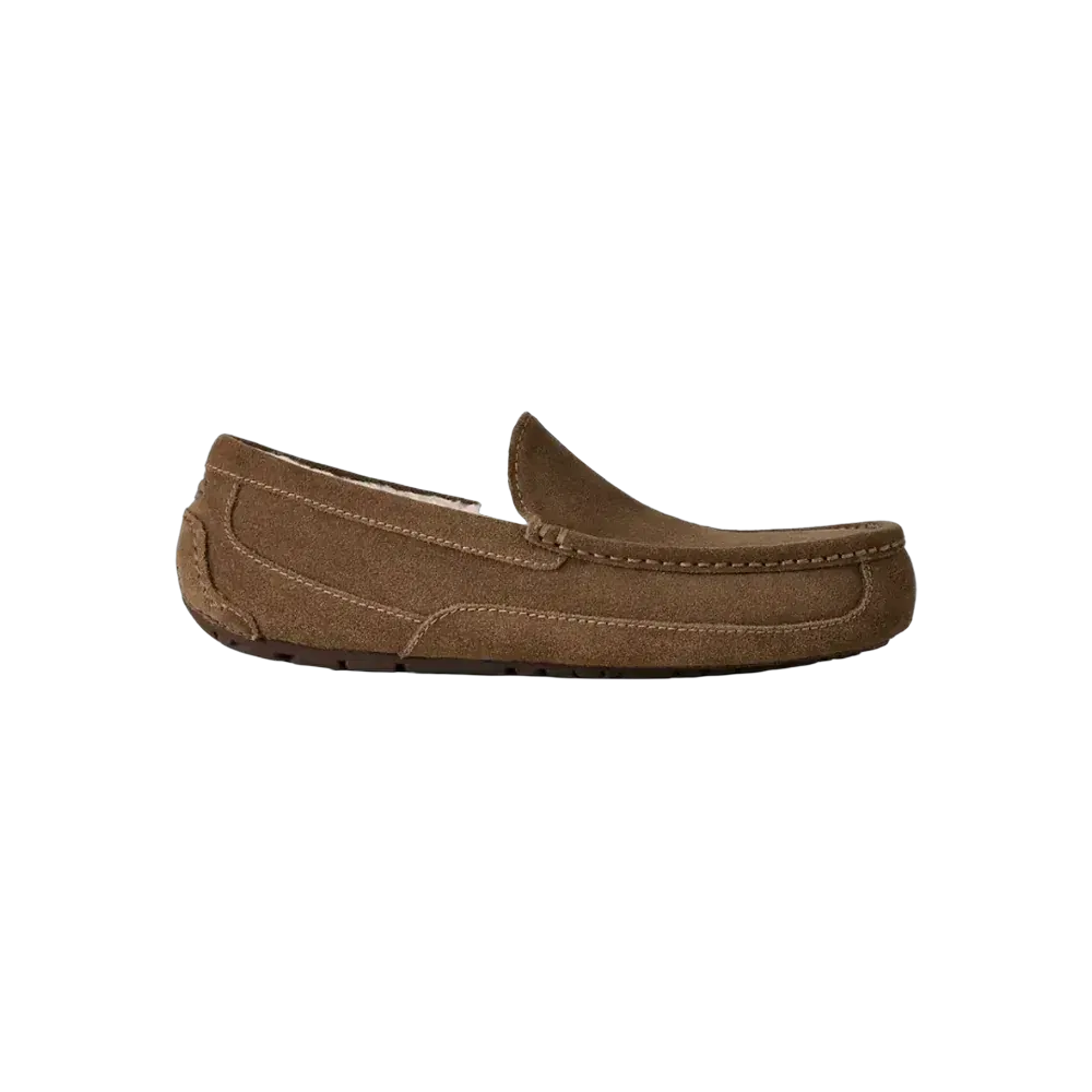 Ugg Ascot light bronze