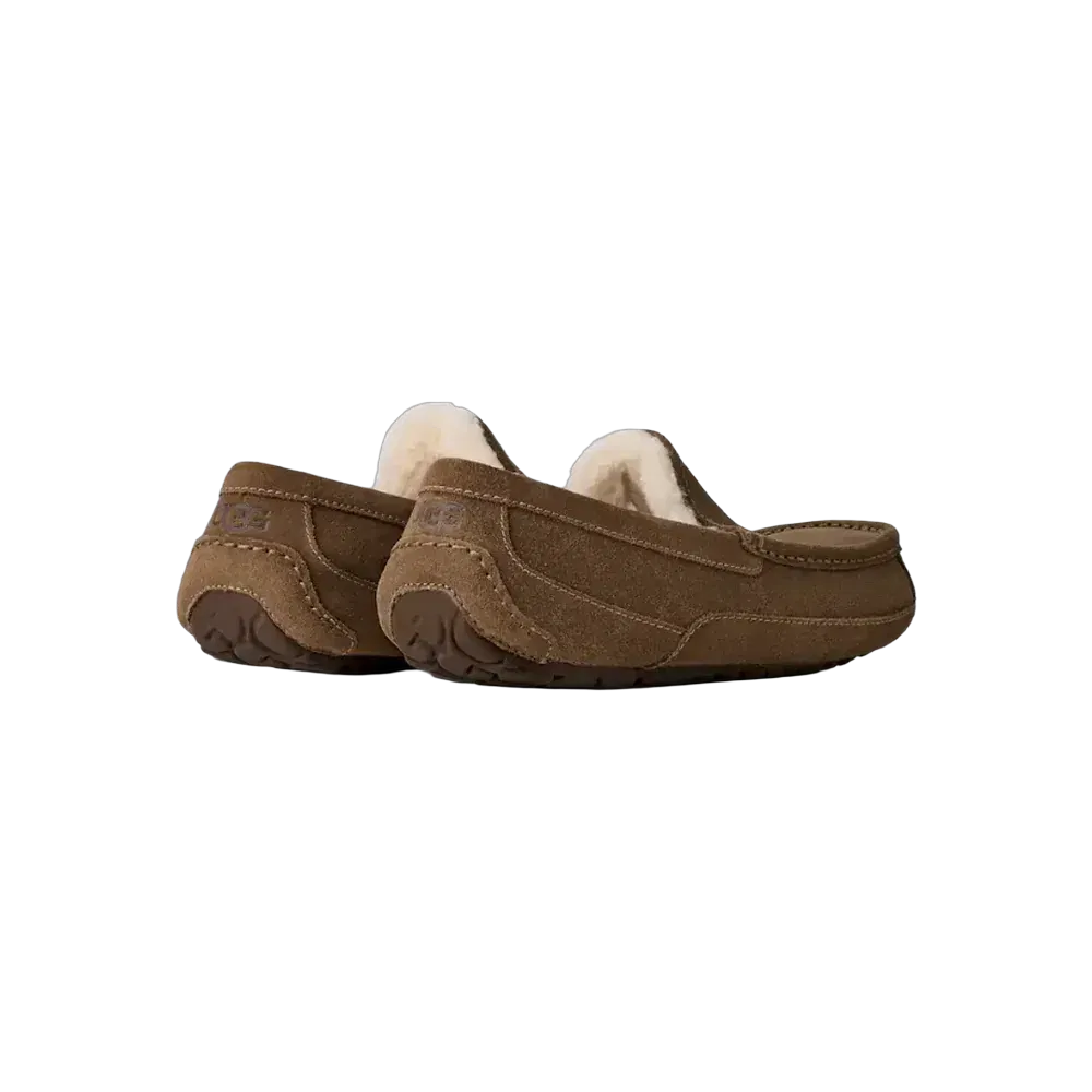 Ugg Ascot light bronze