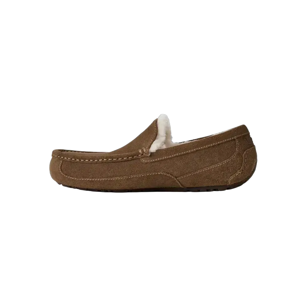 Ugg Ascot light bronze