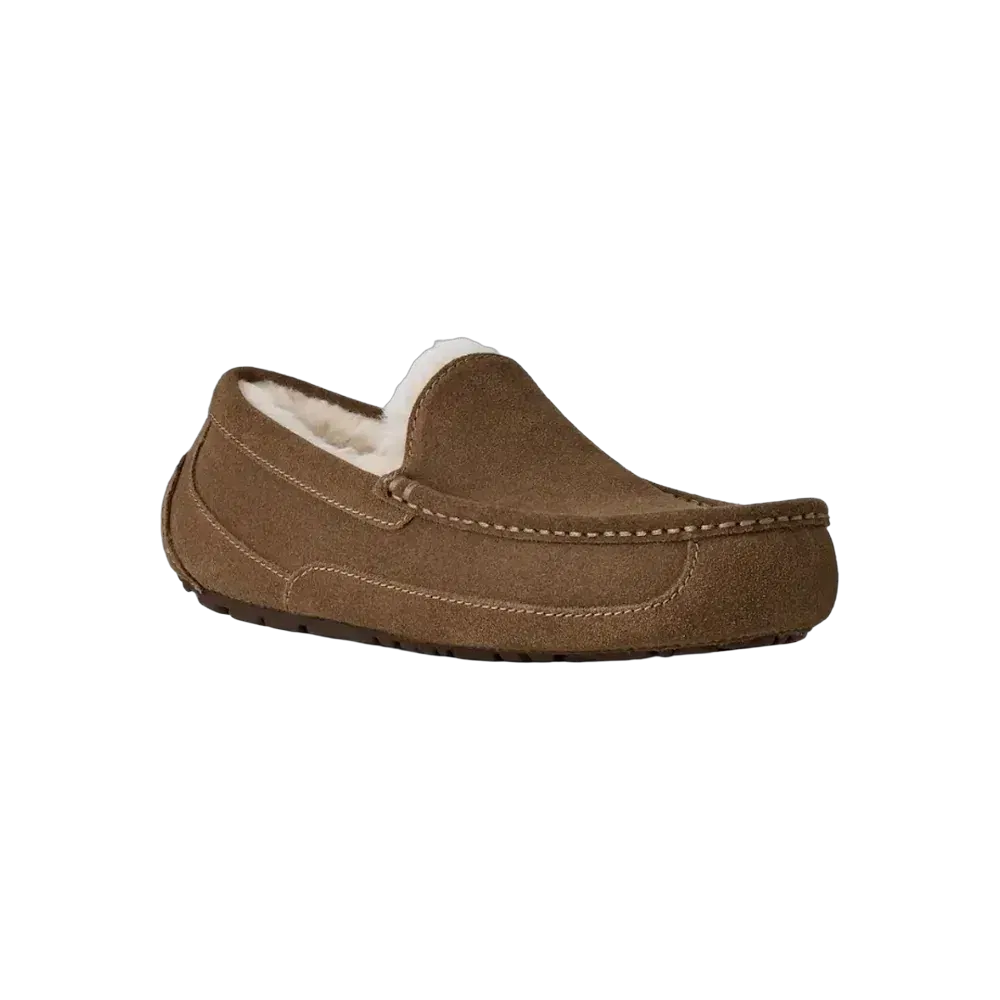 Ugg Ascot light bronze