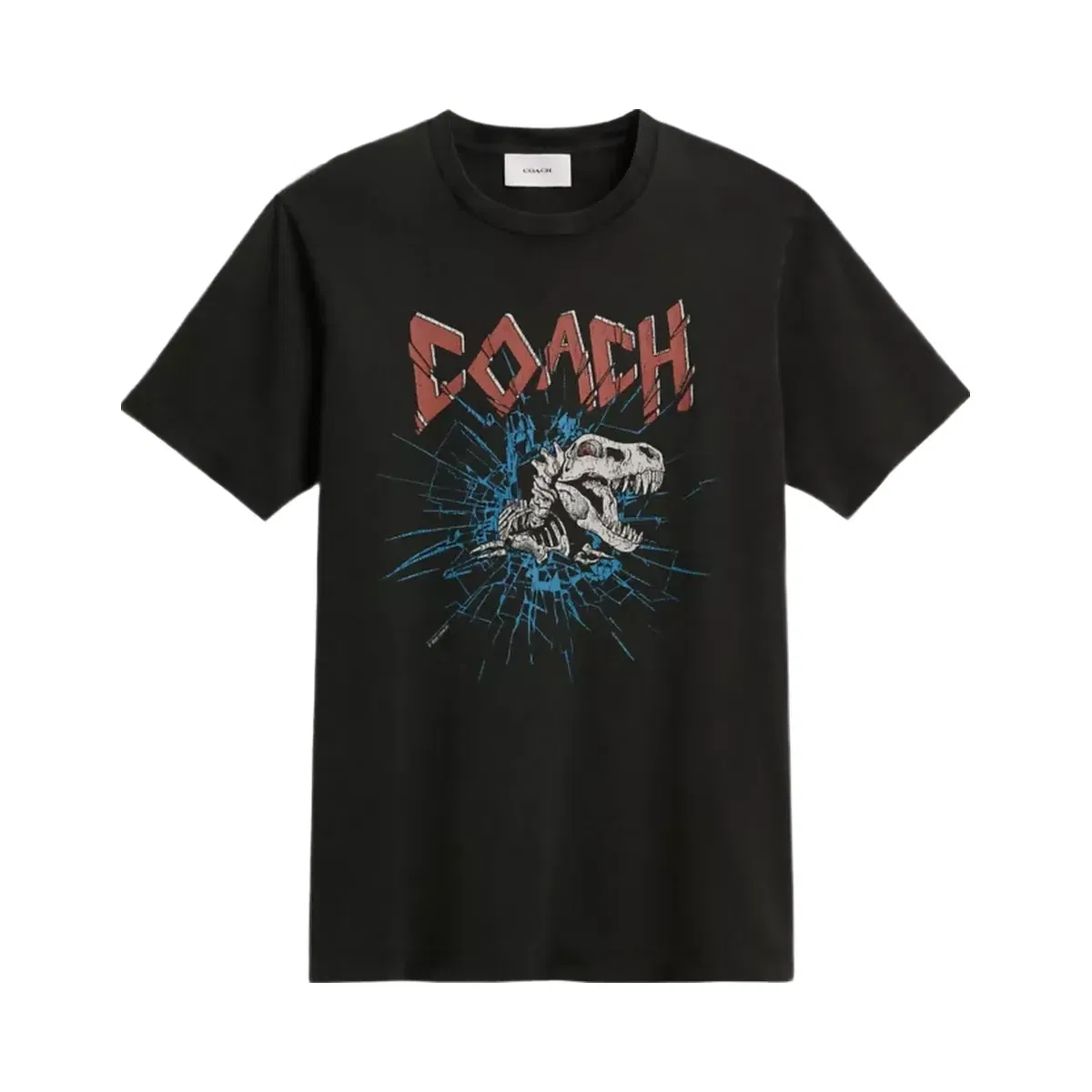 Coach Signature Skeleton Rexy T - Shirt in Black