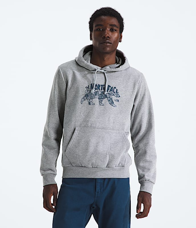 The North Face Men Evolution TNF Bear HoodieGraphic TNF Pale Grey Heather Bark Mist Sumac