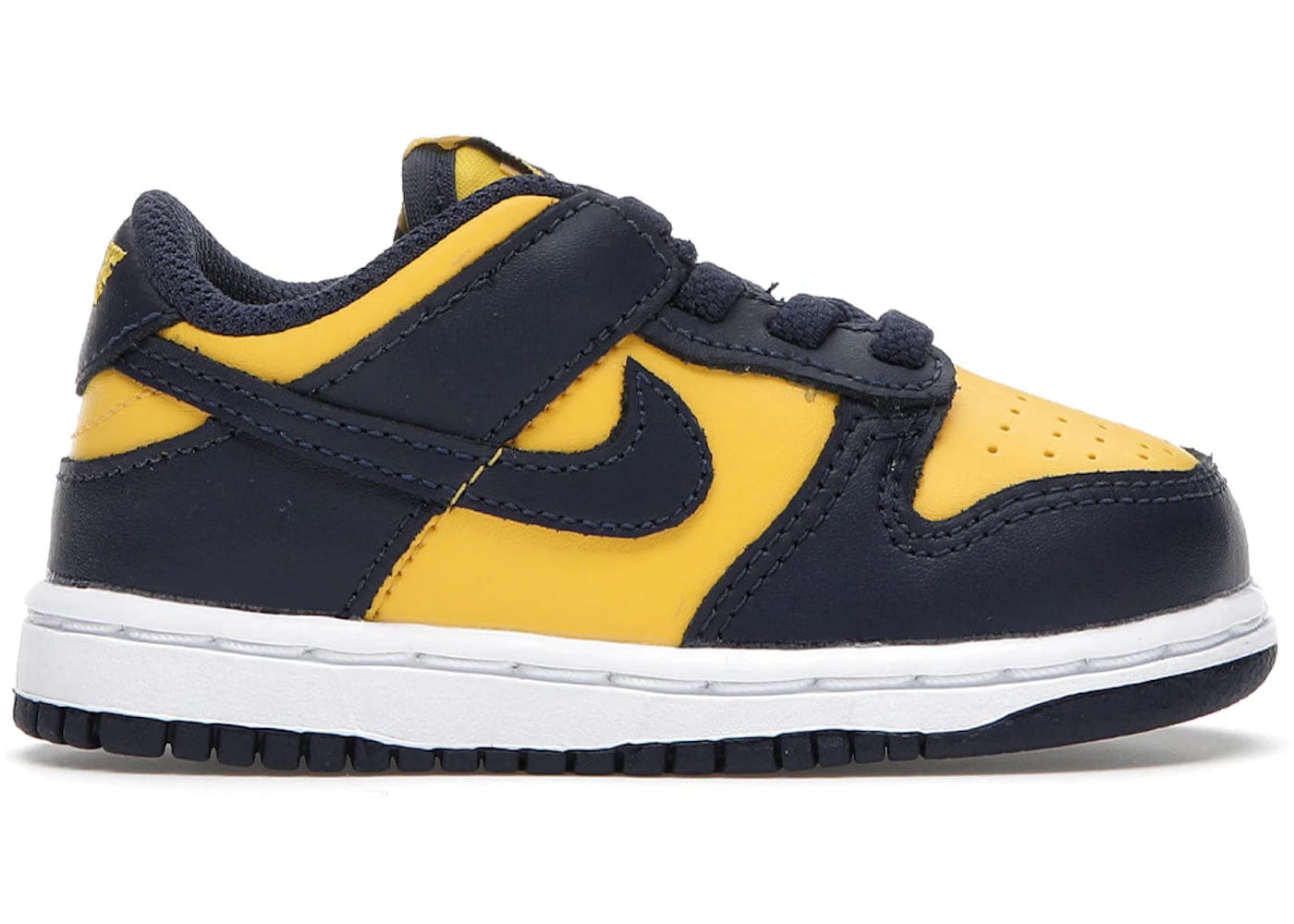 Nike Dunk Low Michigan 2021 Td