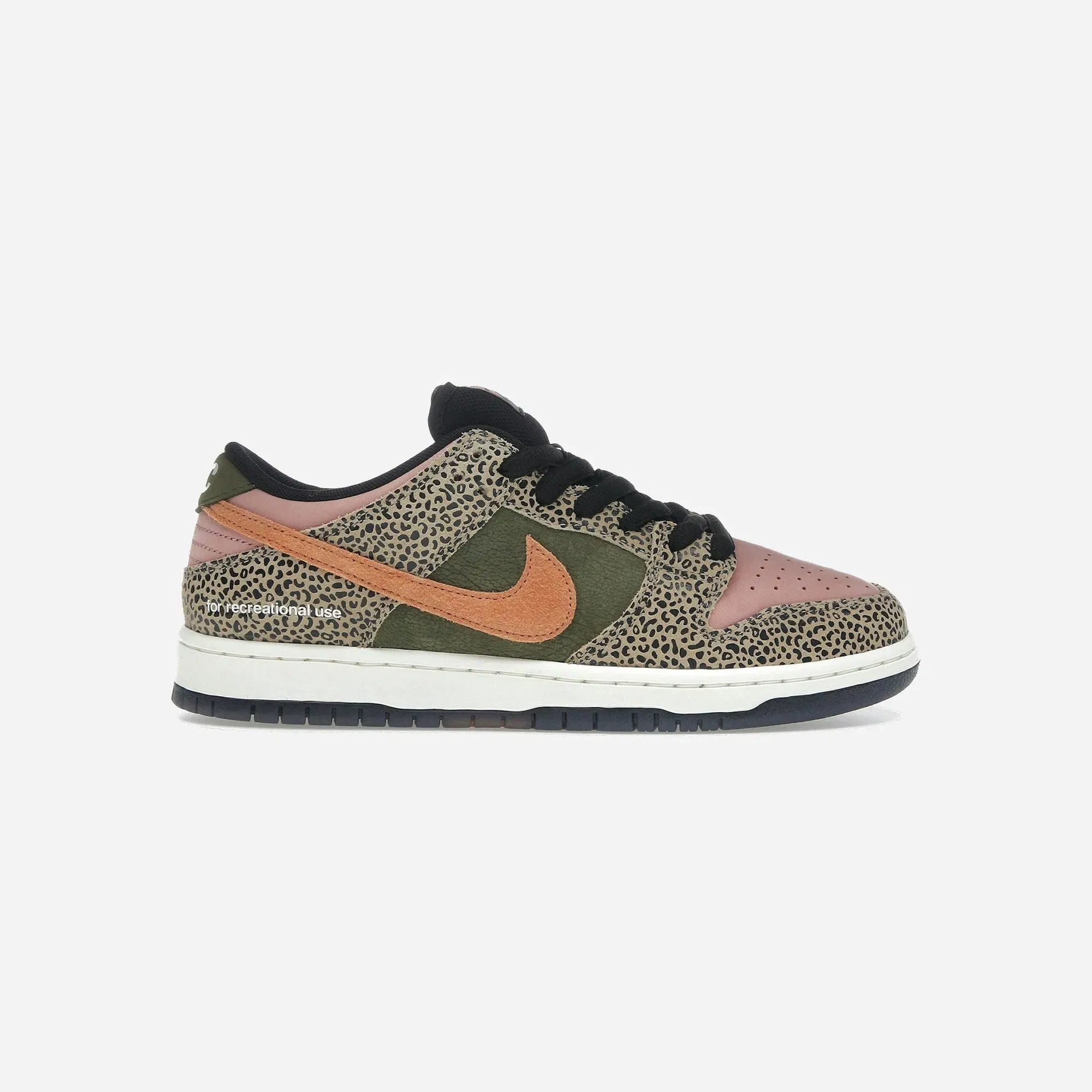 Nike Sb Dunk Low Pro Arts-Rec Special Box