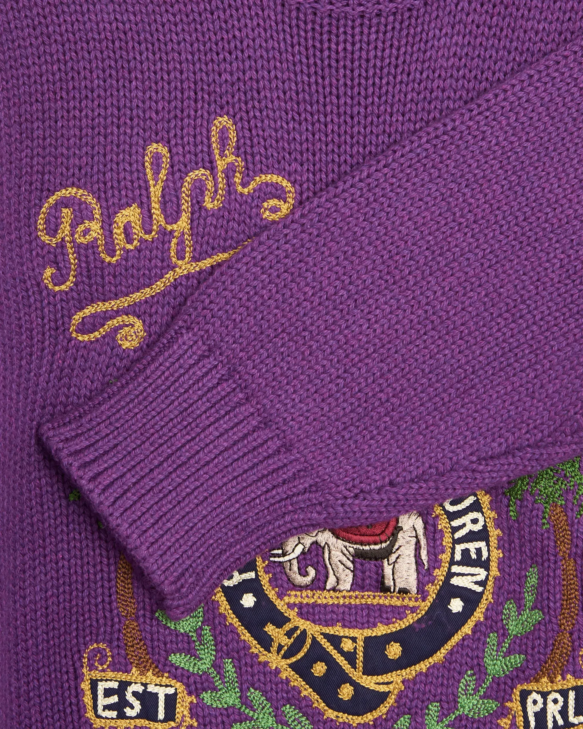Polo Ralph Lauren Jersey bordado Polo Ralph Lauren para hombre