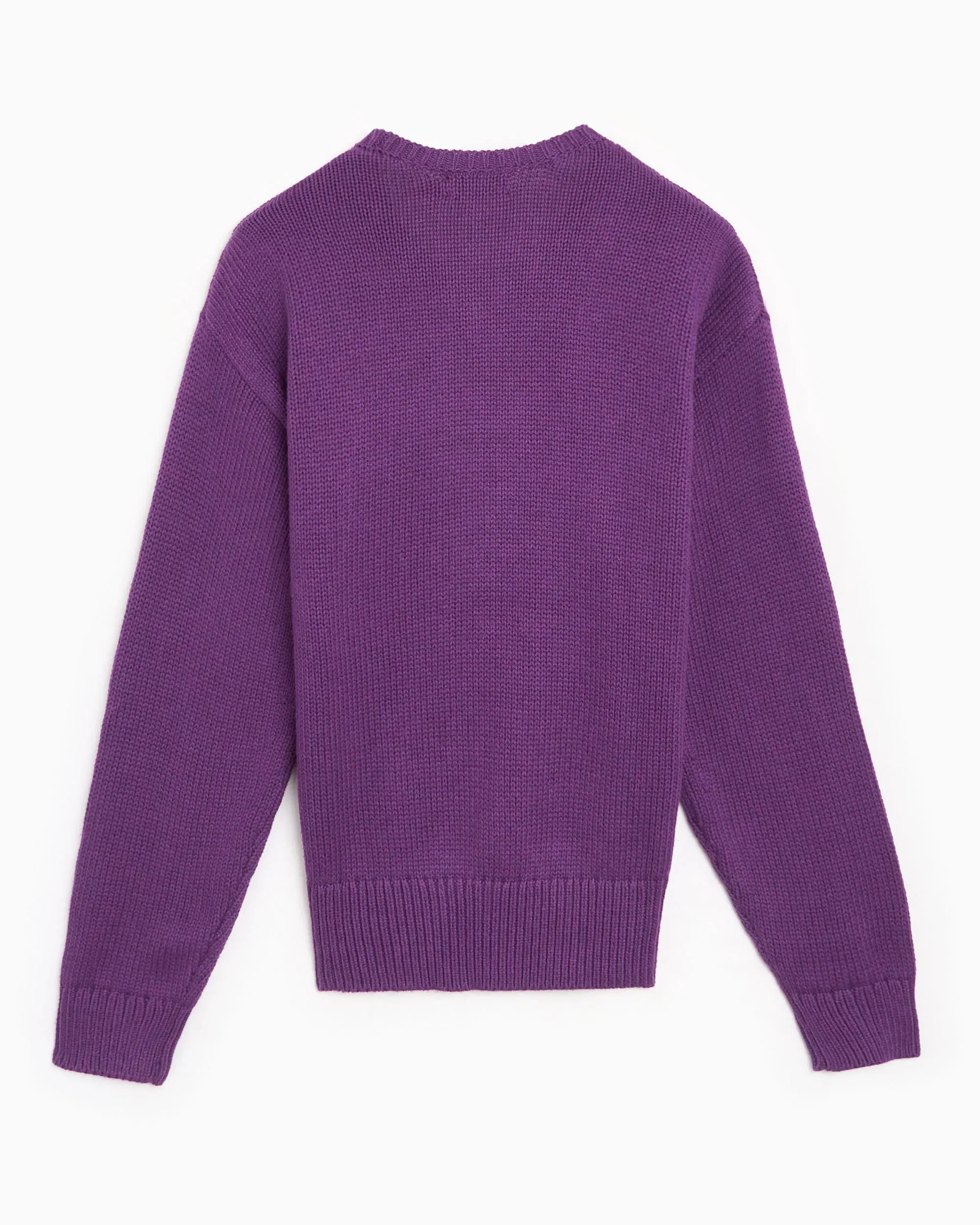 Polo Ralph Lauren Jersey bordado Polo Ralph Lauren para hombre