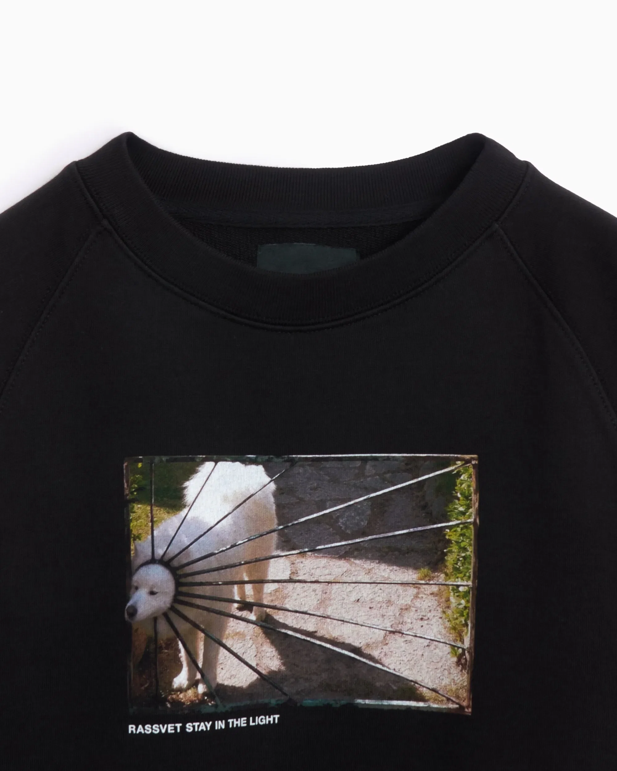 RASSVET Sudadera Rassvet Dog Logo Men's Knit Sweatshirt para hombre