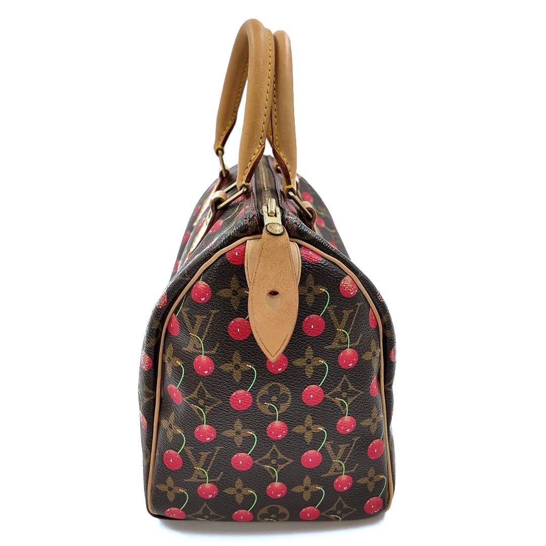 Louis Vuitton Cherry Speedy 25 Handbag