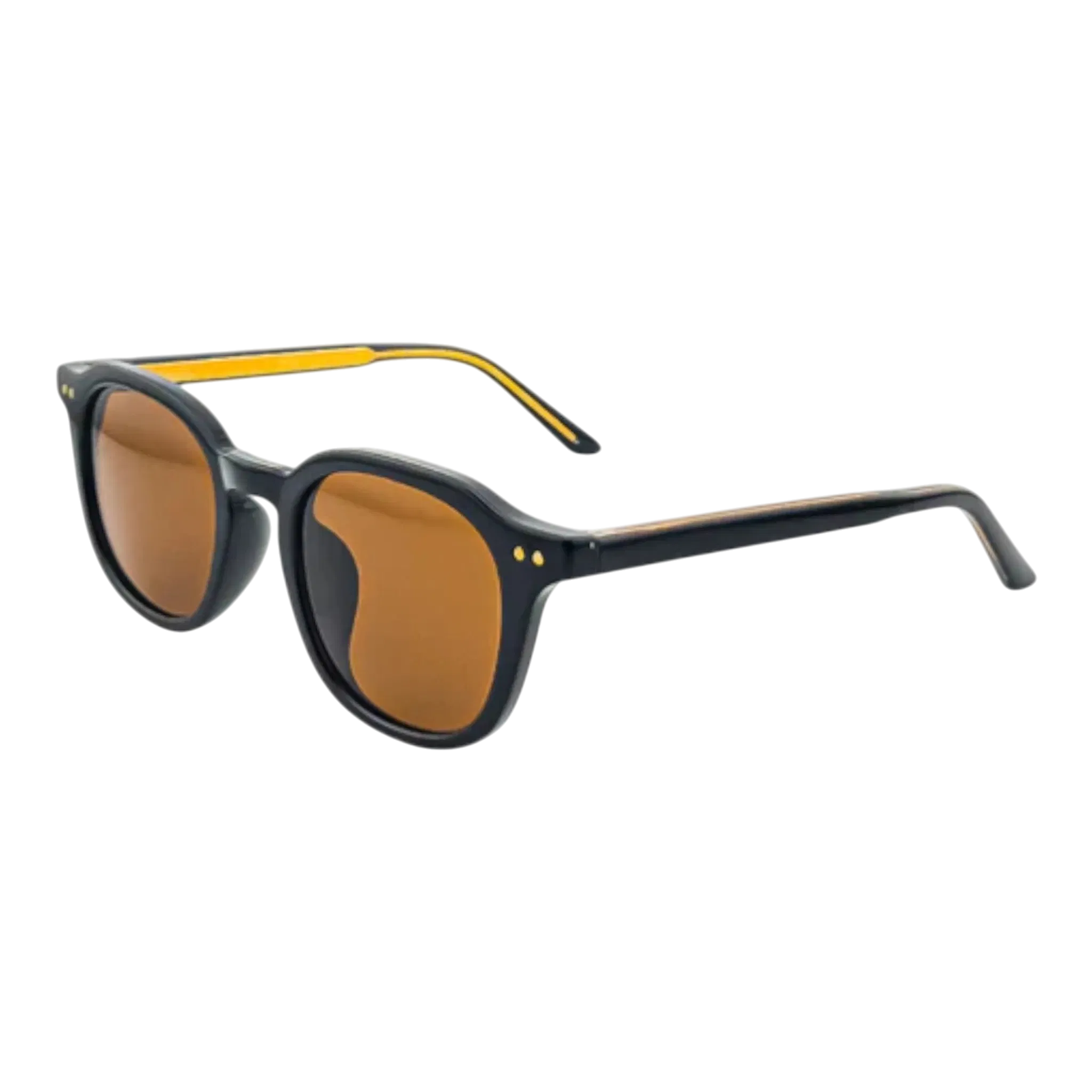 Ryoko RetroGlint Sunglass – Black/Gold