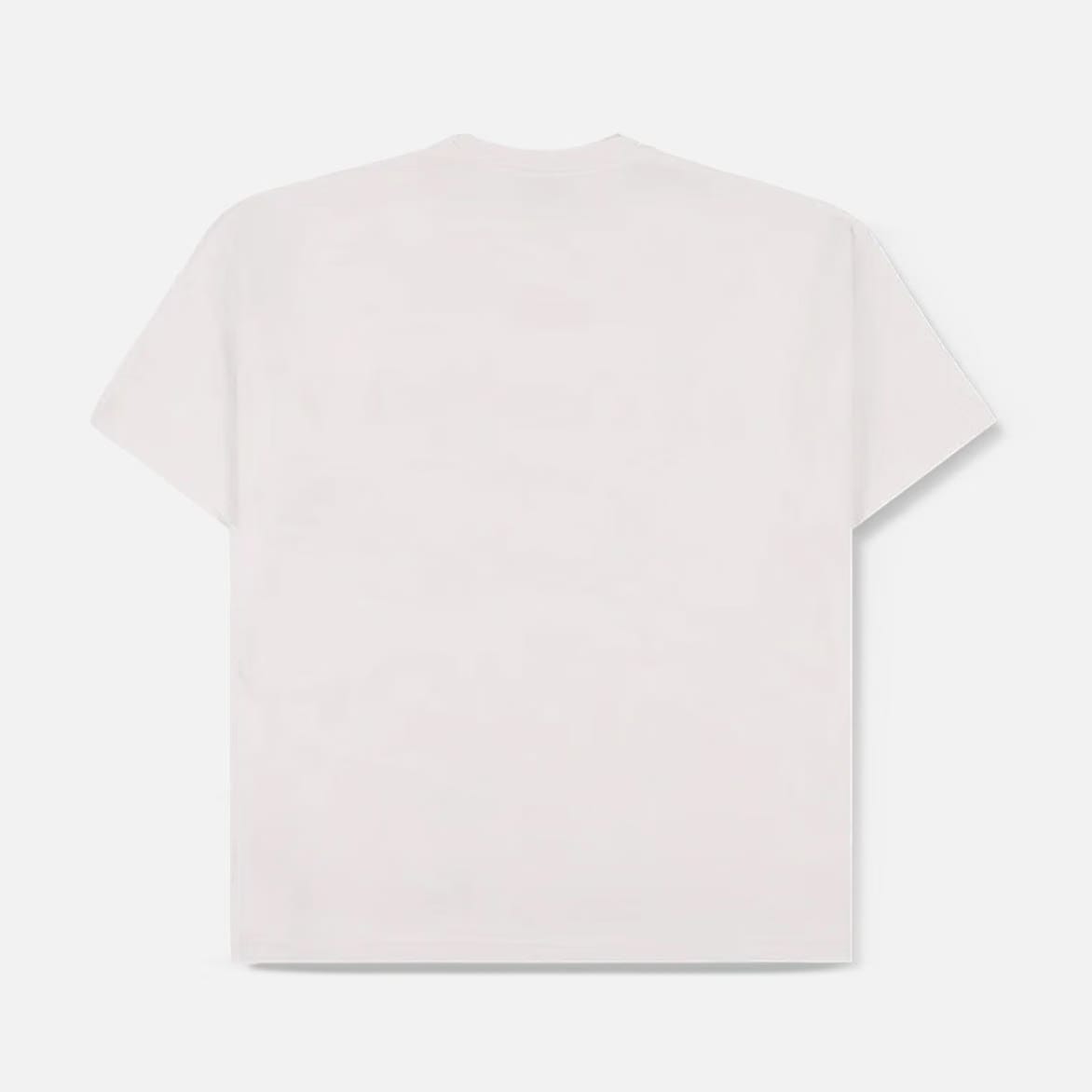 Pleasures OASIS X PLEASURES NORDIQUE T-SHIRT - VINTAGE WHITE