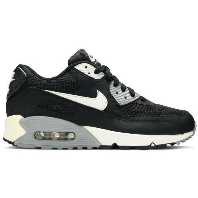 Nike Air Max 90 Essential 'Black Wolf Grey' (Wmns)
