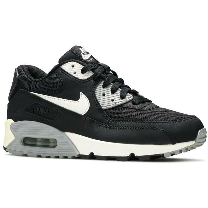 Nike Air Max 90 Essential 'Black Wolf Grey' (Wmns)