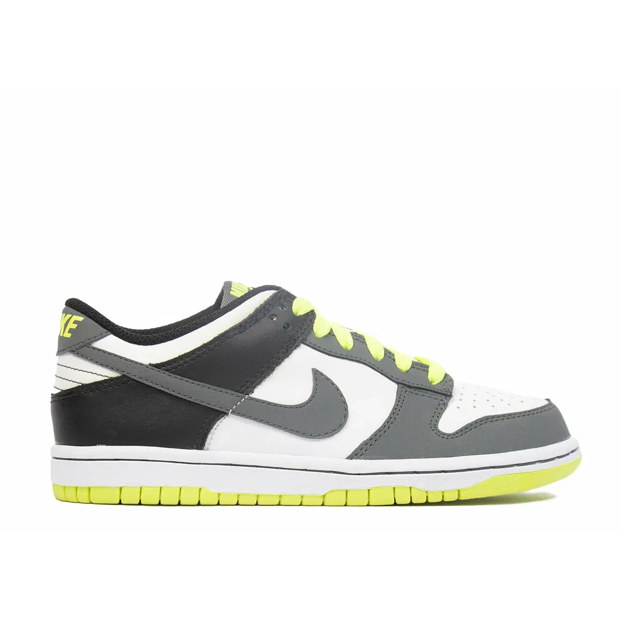 Nike Dunk Low 'Neon' (GS/Juniors) (2010)