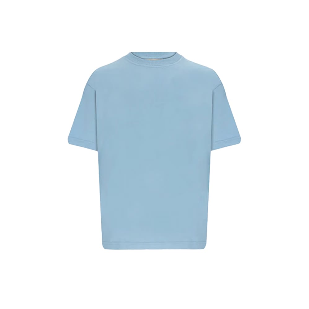 Magnolia Heavy Blank T-Shirt Arctic