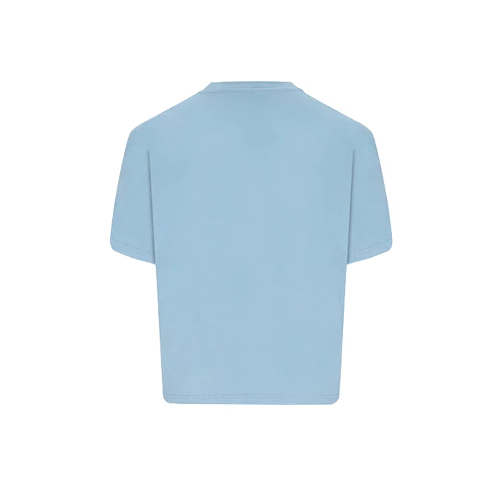 Magnolia Heavy Blank T-Shirt Arctic
