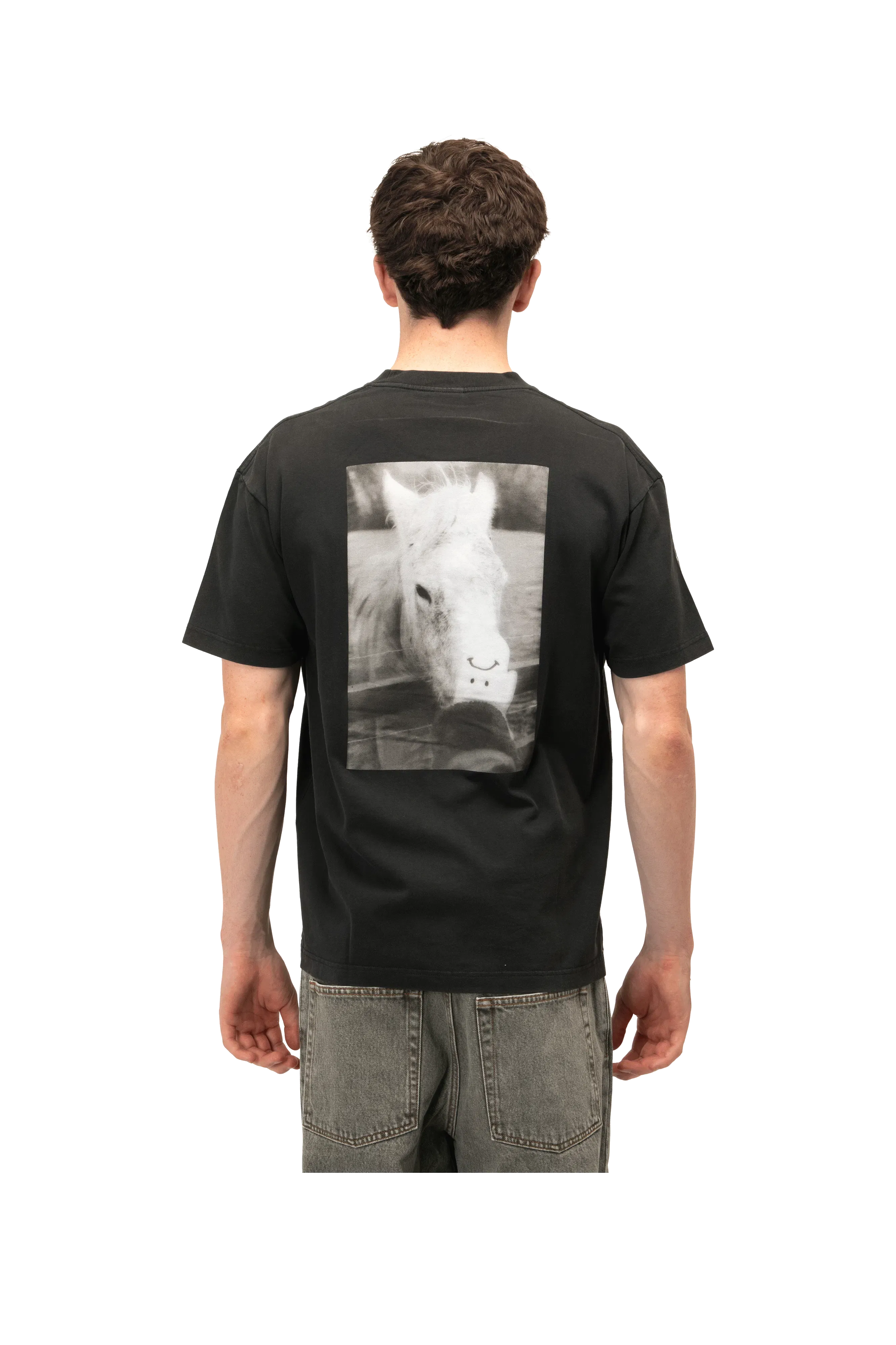 Polar Horse Hand Tee