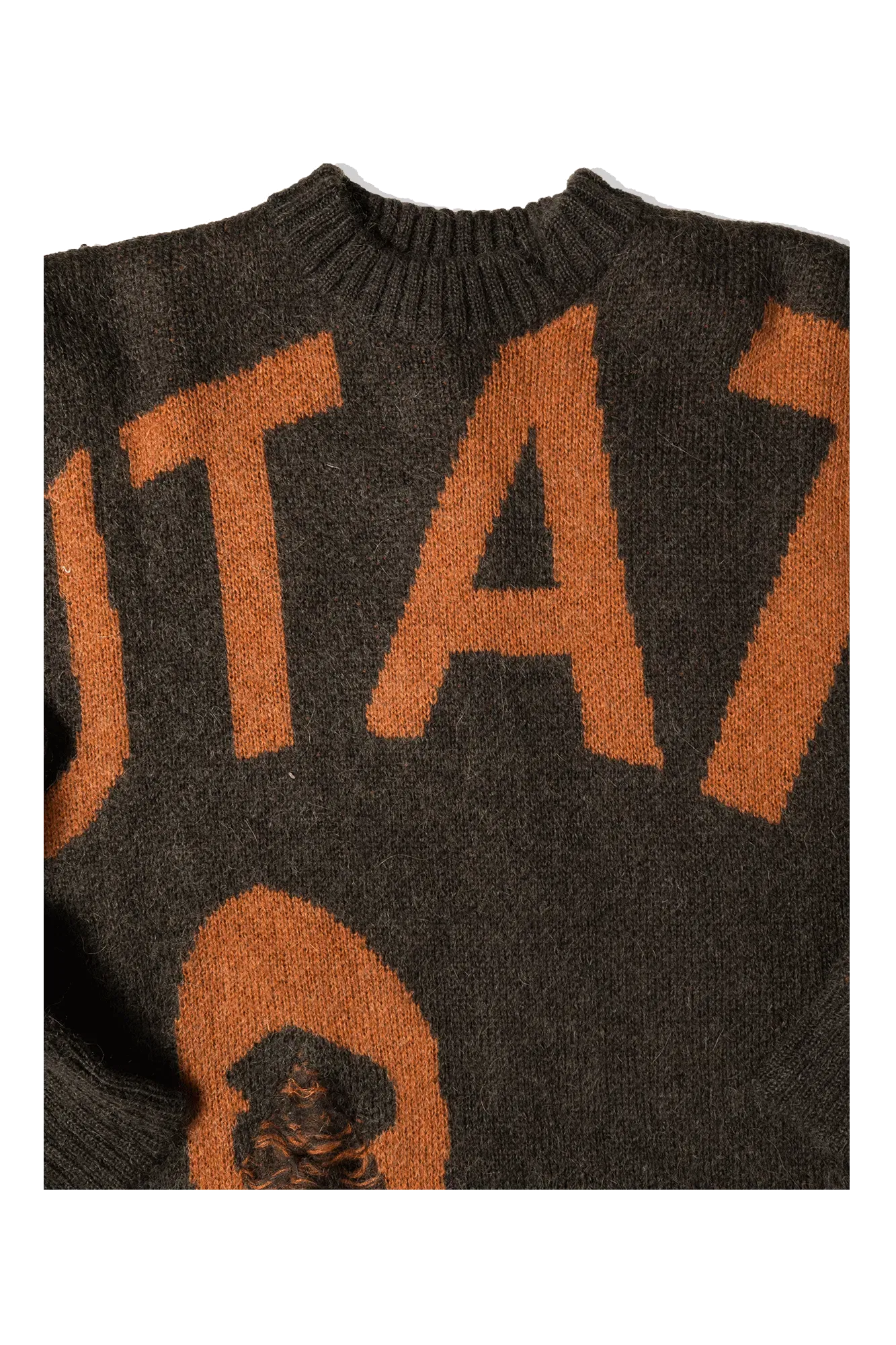 P.A.M. Mutate Distressed Creneck Sweater
