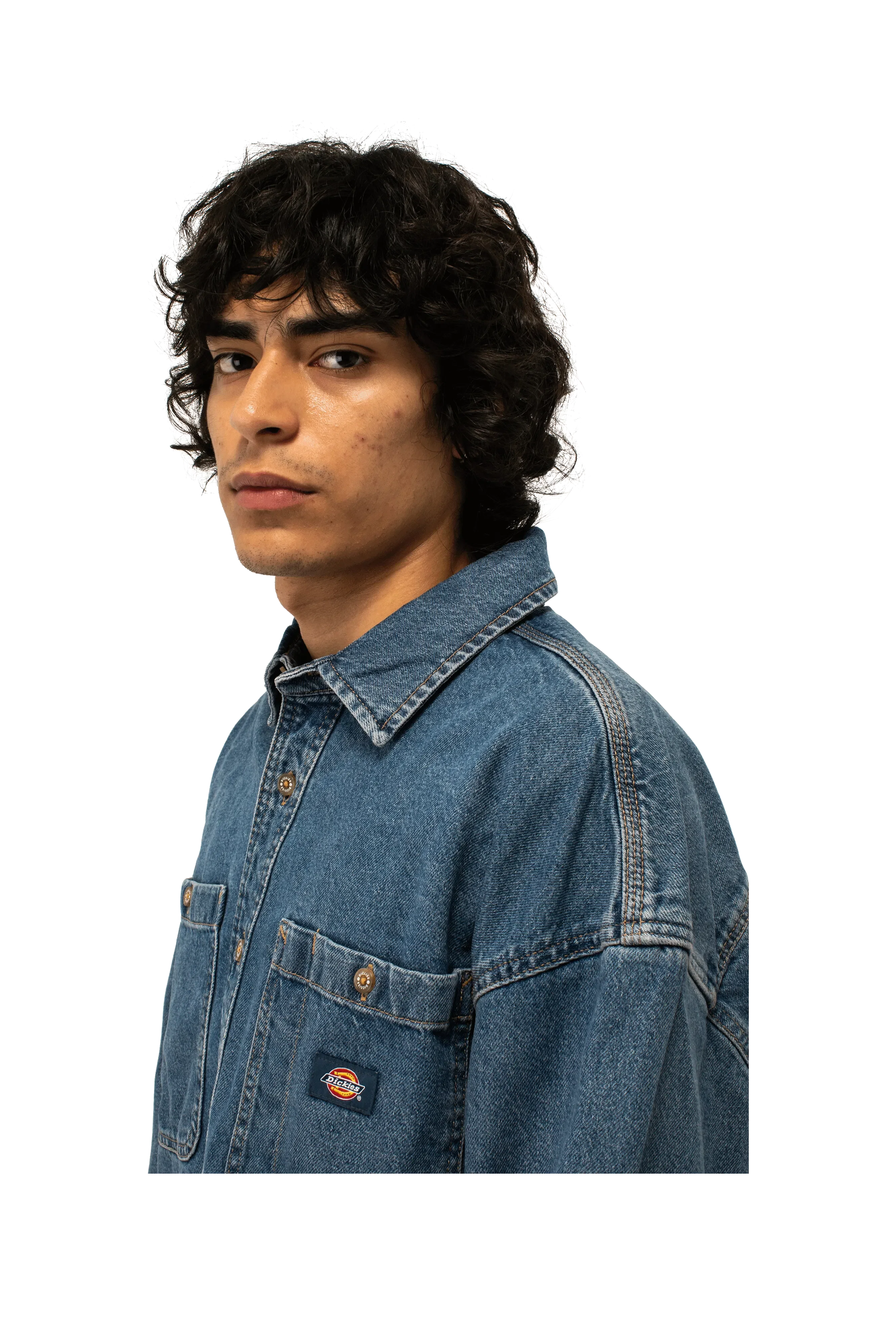 DICKIES Houston Longsleeve Shirt