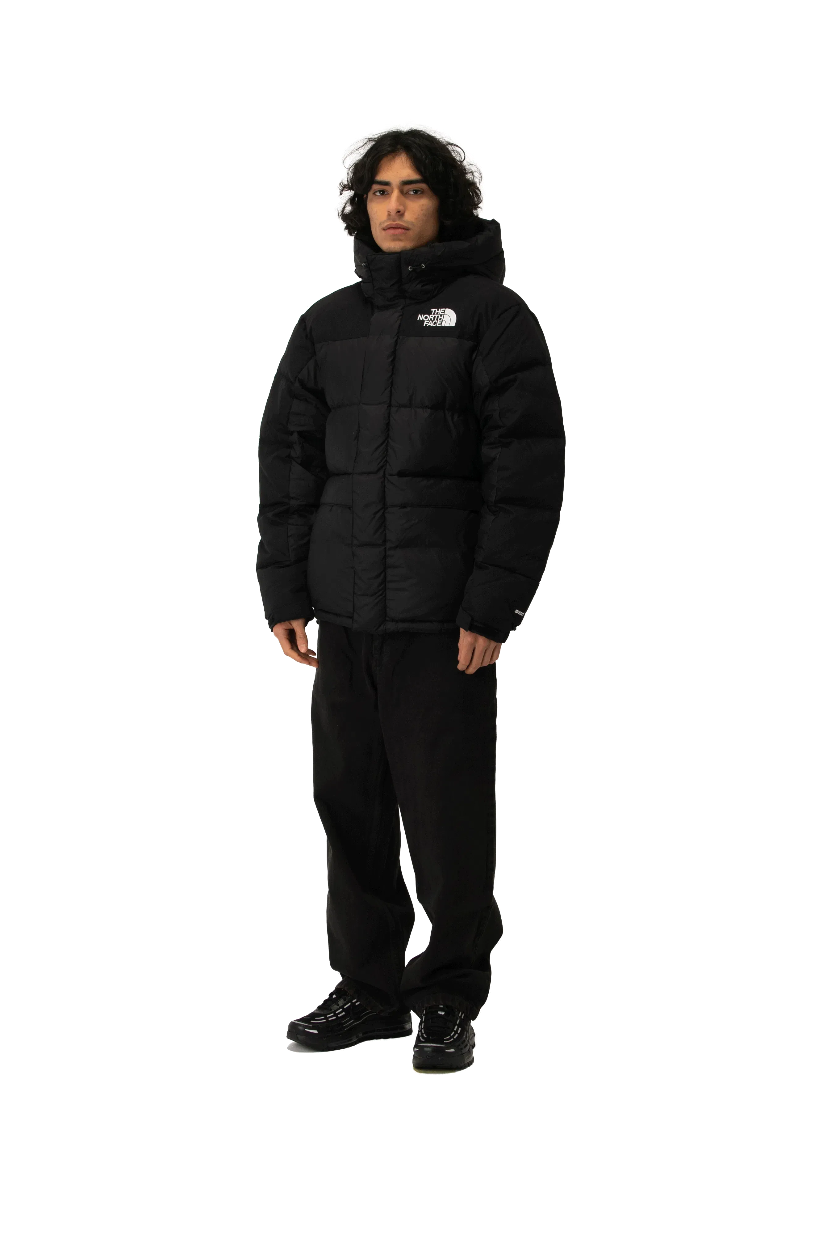 The North Face Himalayan Down Parka