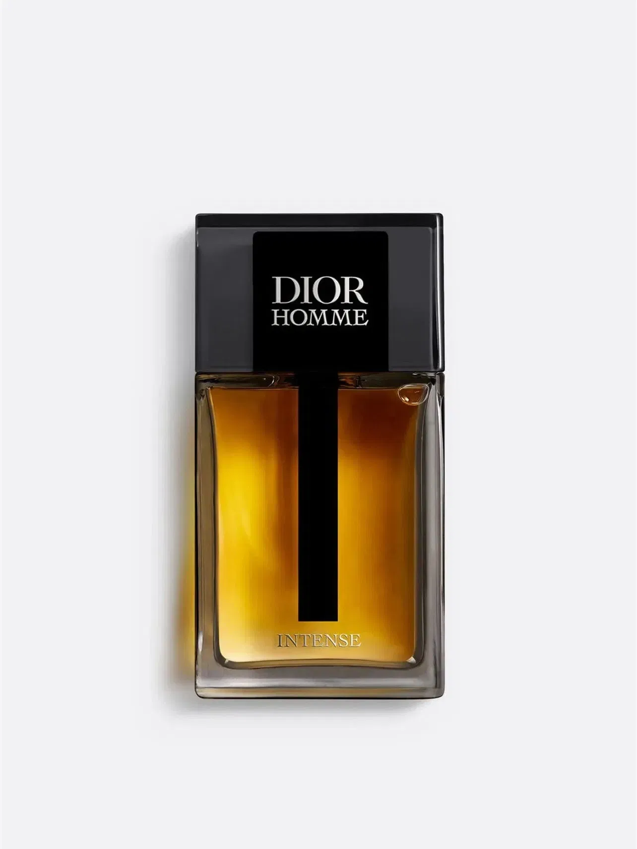 Christian Dior Dior Homme Intense Eau de Parfum 100ml