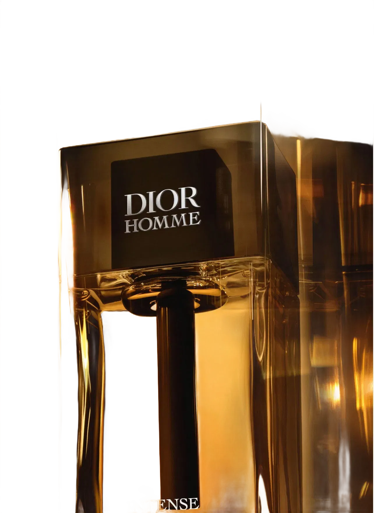 Christian Dior Dior Homme Intense Eau de Parfum 100ml