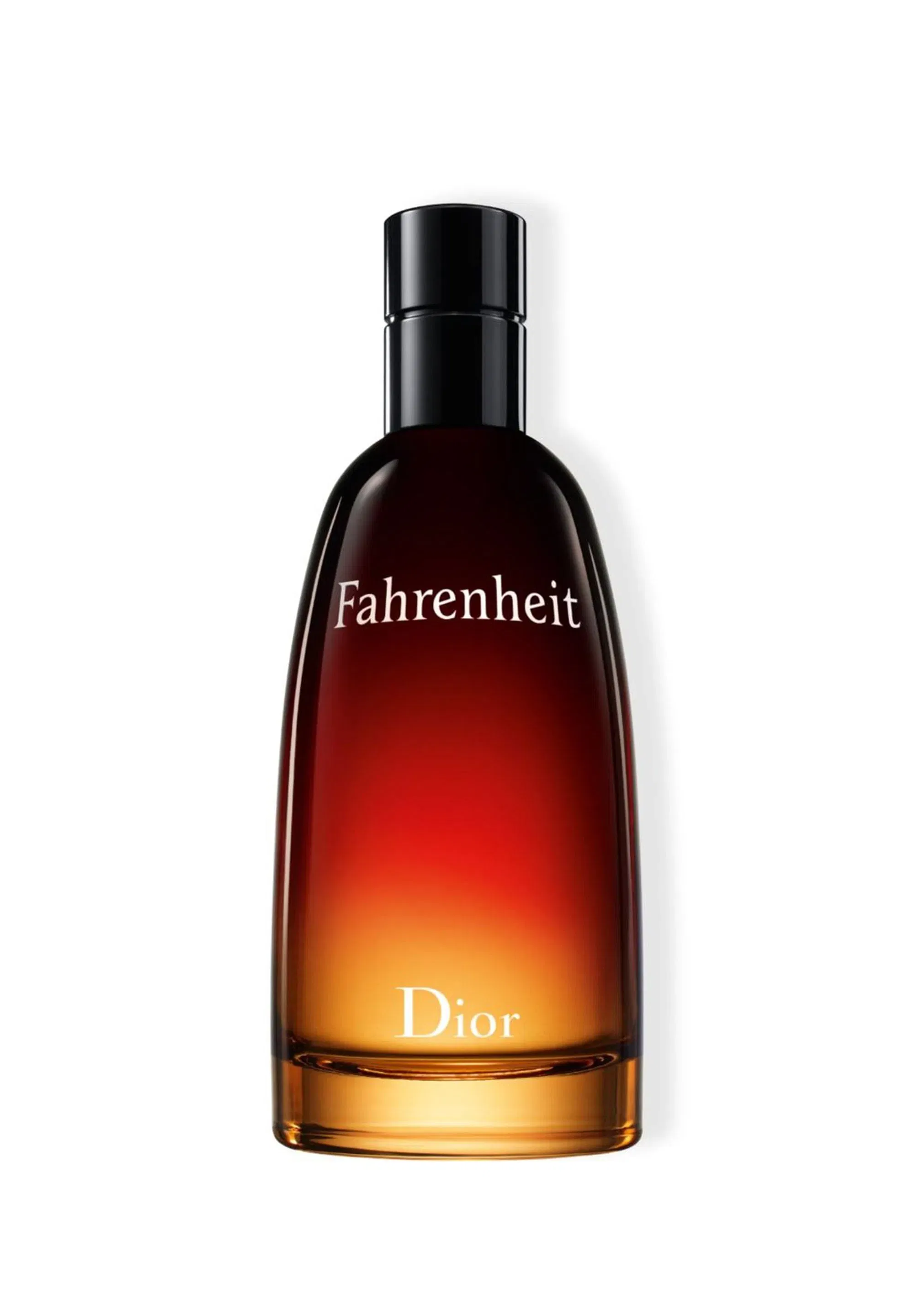 Christian Dior Fahrenheit Eau de Toilette 100ML